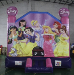 B841CA15 31BD 45B1 8BC7 2980ACD97964 1677830802 Disney Princess 2 in 1 Bounce House