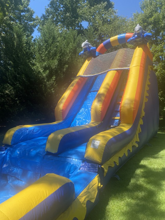 18ft Big Dolphin Adventure Water Slide